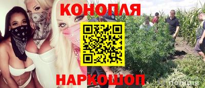 соль ск Владикавказ