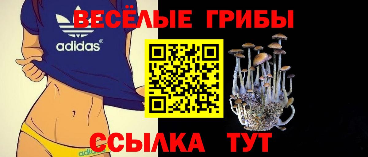 Дятьково  Псилоцибиновые грибы Cubensis  Вход с VPN 
